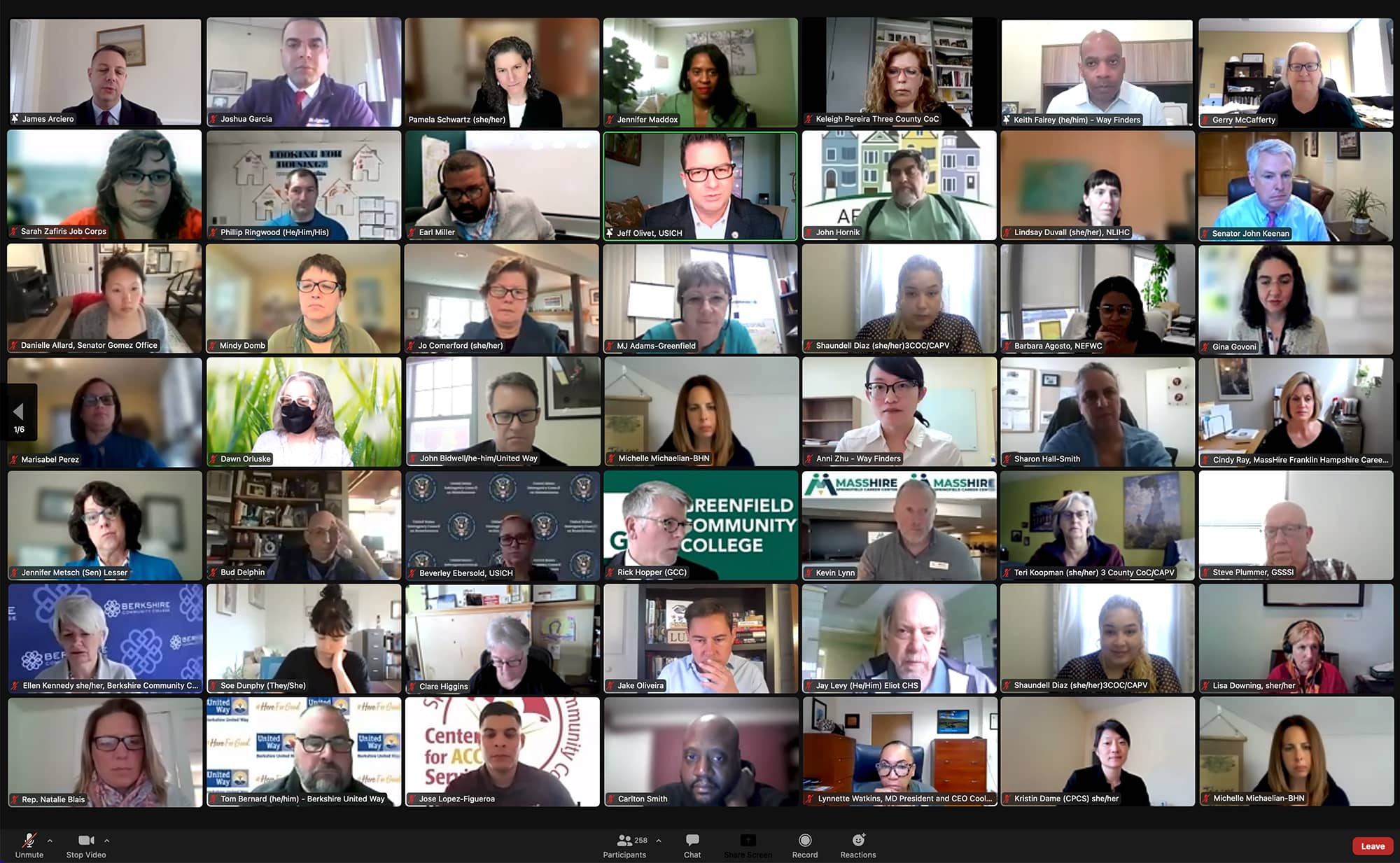 Screenshot of participants from sixth annual regional meeting via zoom